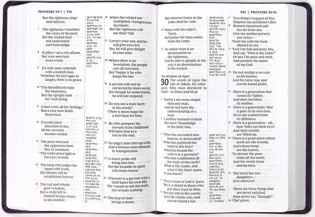Purple NKJV Giant Print Center-Column Reference Bible with Verse Art