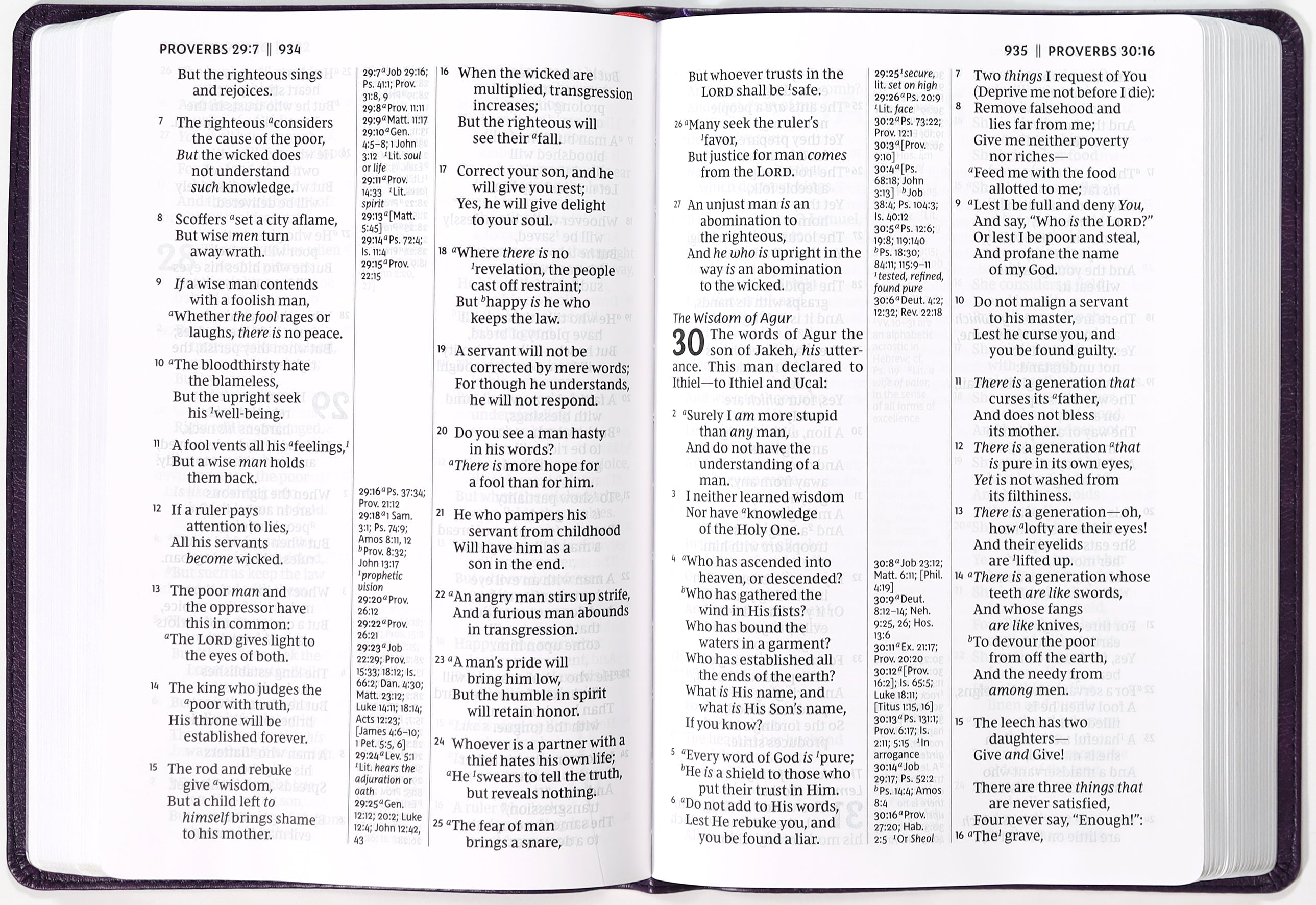 Purple NKJV Giant Print Center-Column Reference Bible with Verse Art