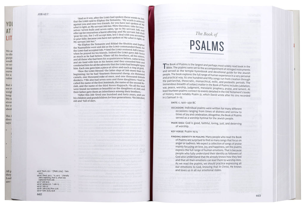 NKJV Life in Christ Bible Red Letter Edition