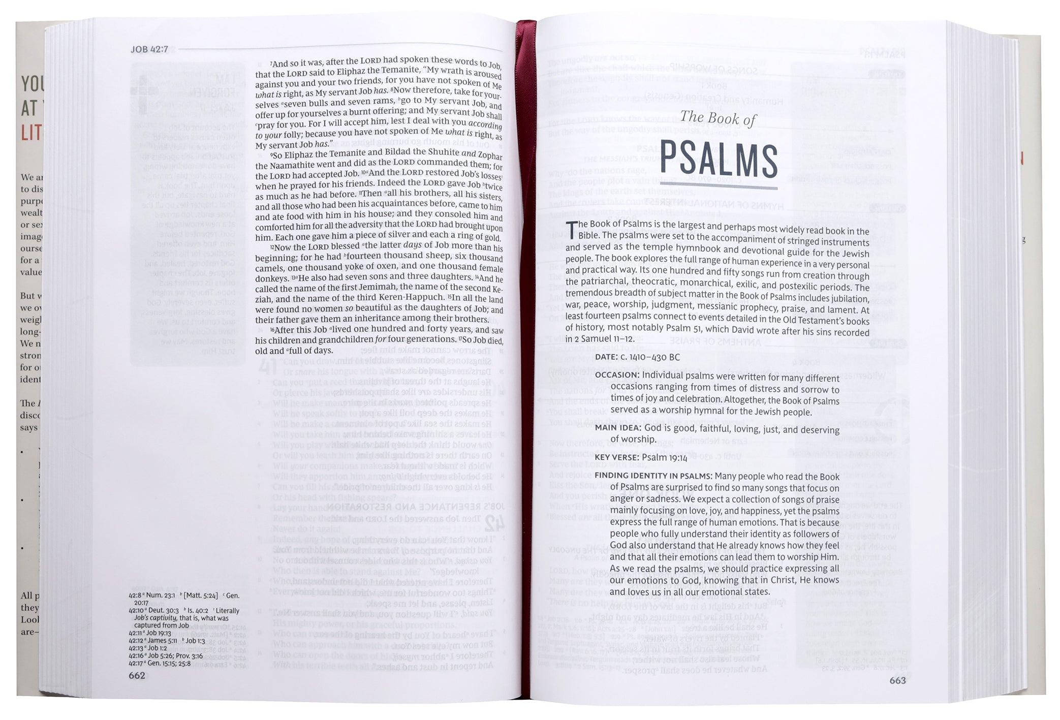 NKJV Life in Christ Bible Red Letter Edition