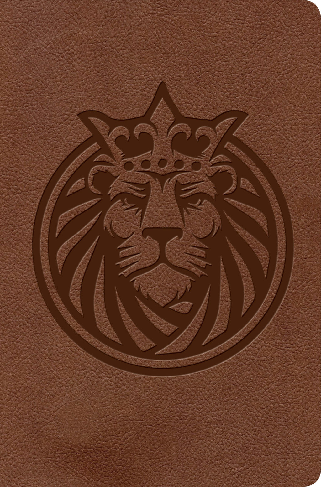 KJV Kids Bible, The Lion's Story Bible, children's Bible stories