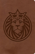 KJV Kids Bible, The Lion's Story Bible, children's Bible stories