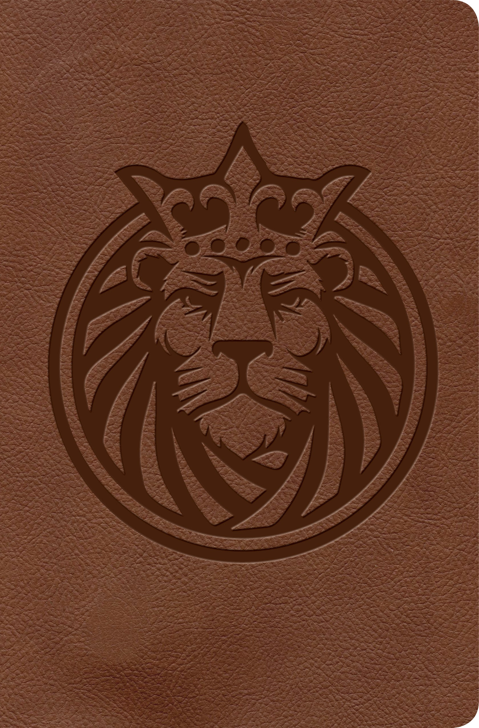 KJV Kids Bible, The Lion's Story Bible, children's Bible stories