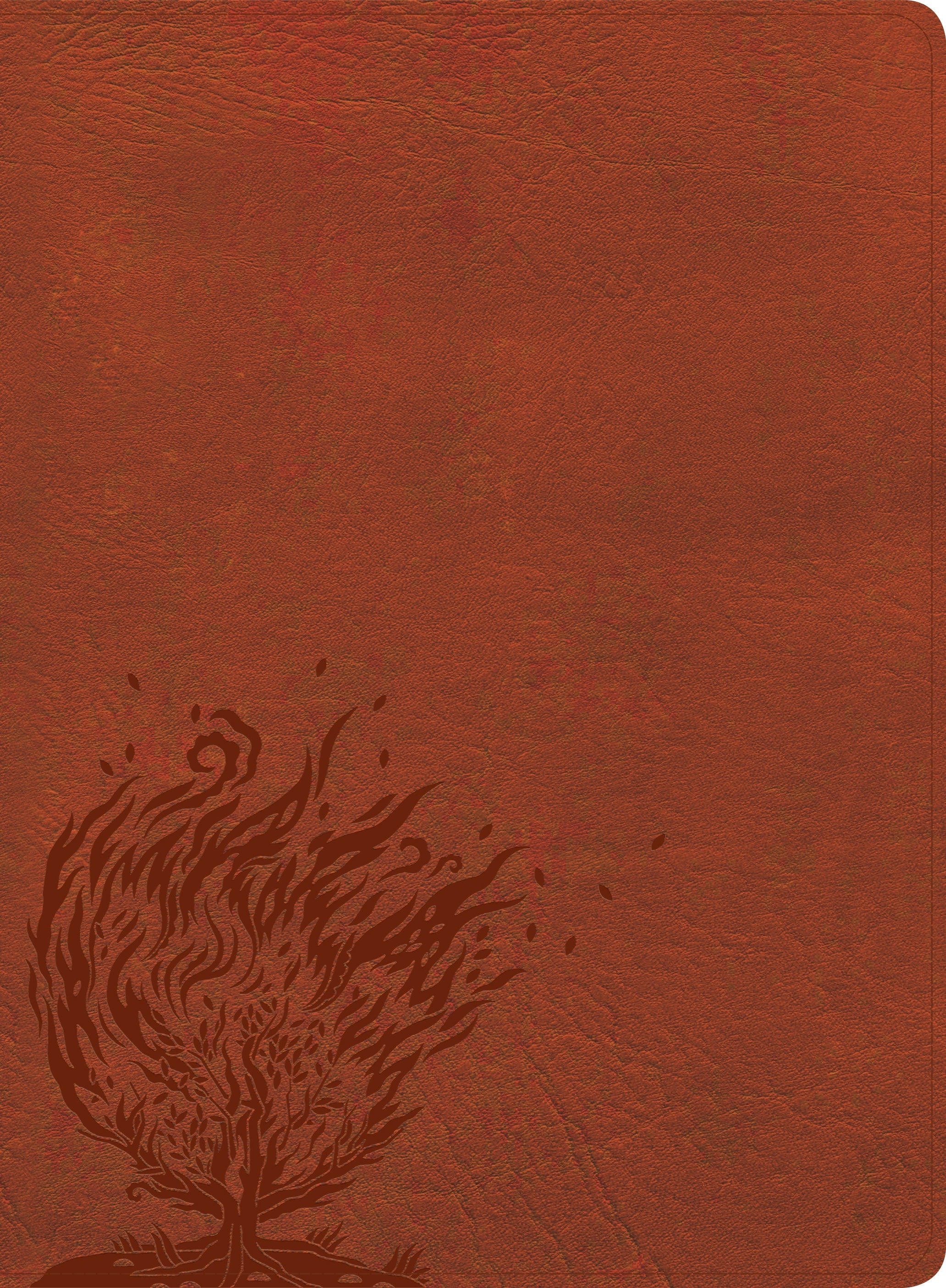 CSB Experiencing God Bible Burnt Sienna (Red Letter Edition)