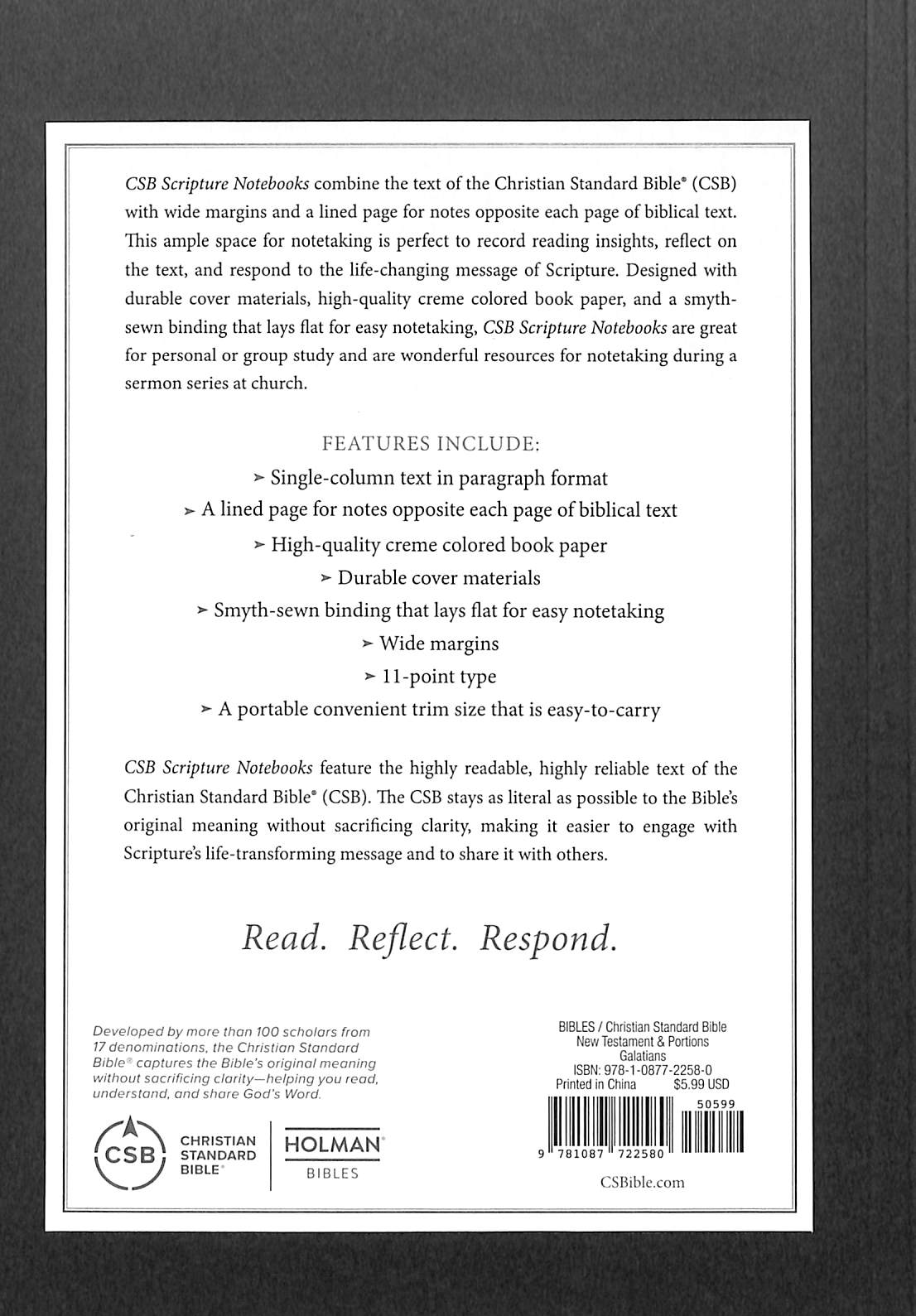 Luxury CSB Christian Standard Bible scripture notebook for Galatians study devotionals