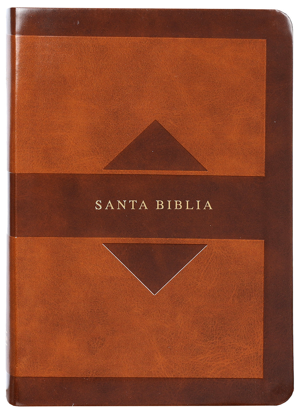 Spanish RVR 1960 Giant Print Bible with Holy Land Images and Red Letter Edition