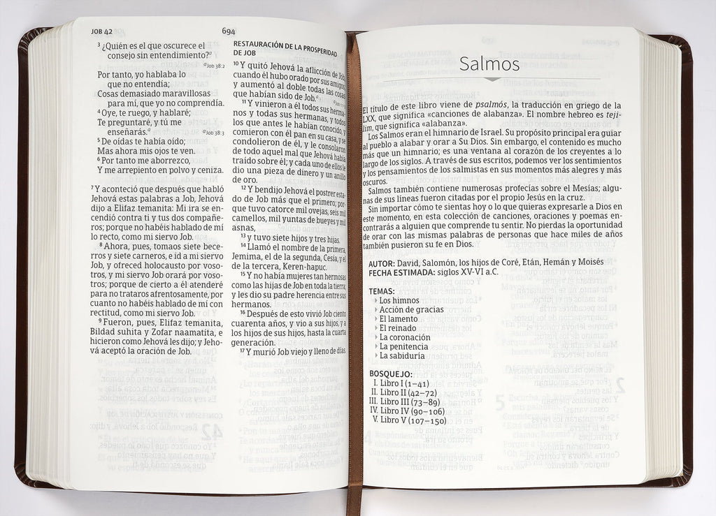 Spanish RVR 1960 Giant Print Bible with Holy Land Images and Red Letter Edition