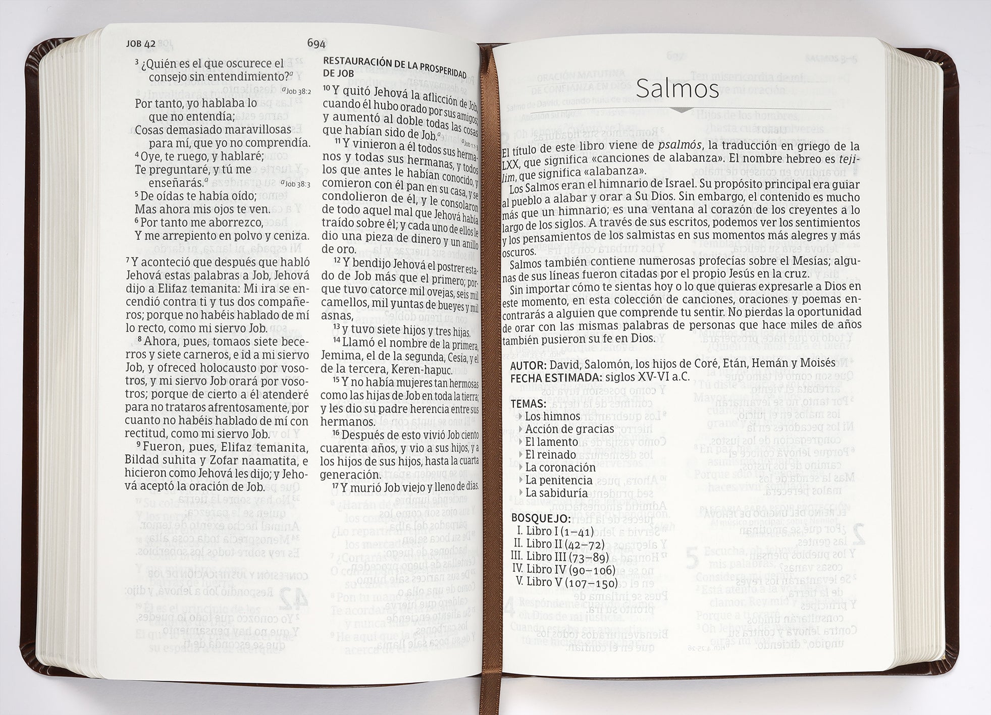 Spanish RVR 1960 Giant Print Bible with Holy Land Images and Red Letter Edition
