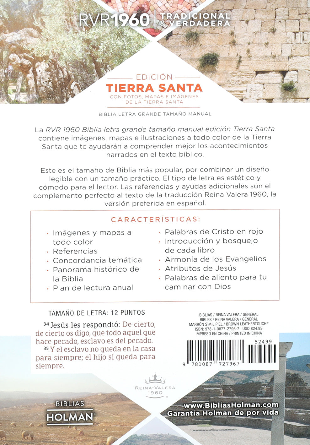 Spanish RVR 1960 Giant Print Bible with Holy Land Images and Red Letter Edition