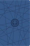 CSB One Big Story Bible Blue