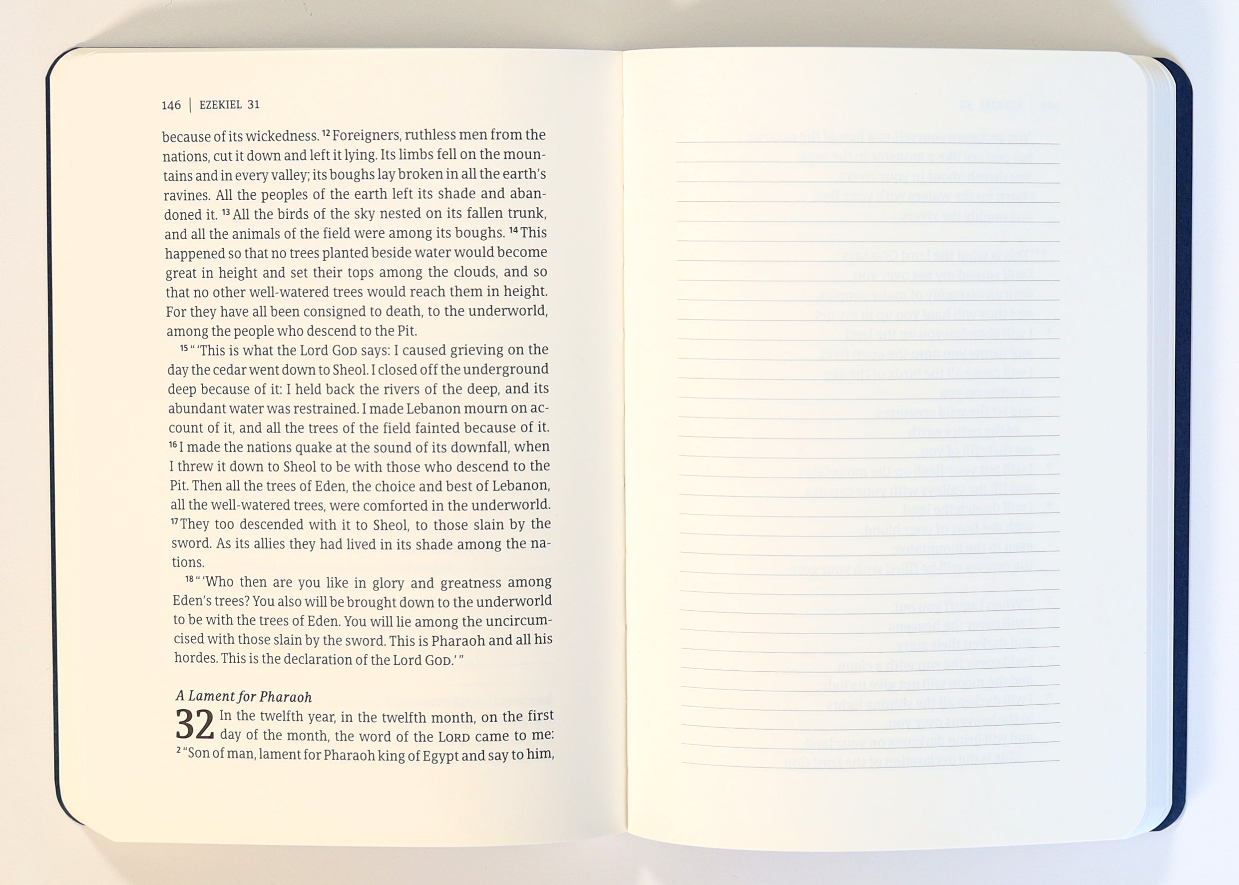 Experience the finest in Bible study with the Luxury CSB Ezekiel Study Edition, a high-end Christian Standard Bible