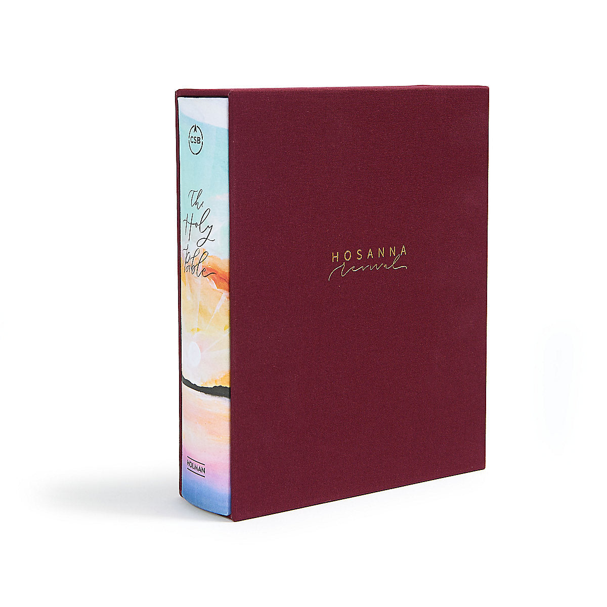 CSB Hosanna Revival Notetaking Bible with beautiful lake background for personal devotion and reflection.