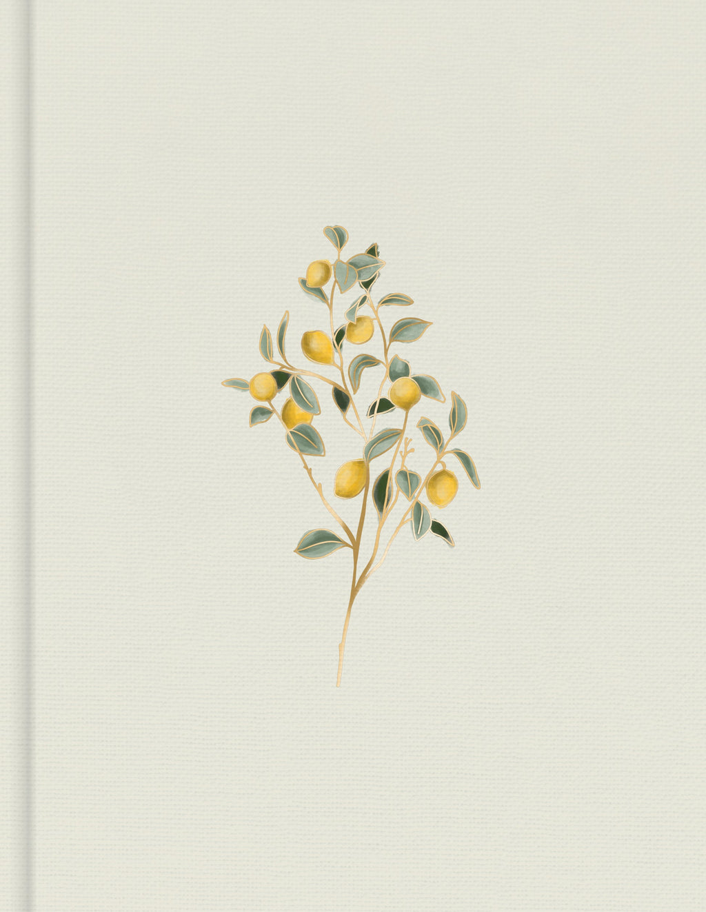 Elegant CSB Bible with Hosanna Revival notetaking design, perfect for luxury Christian devotion