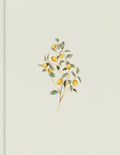 Elegant CSB Bible with Hosanna Revival notetaking design, perfect for luxury Christian devotion