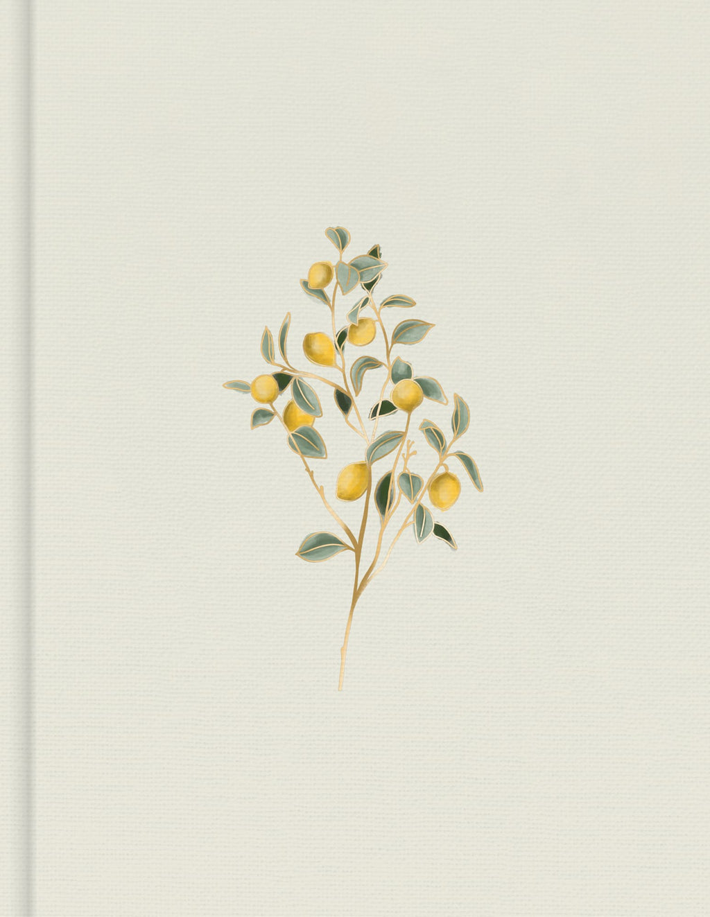 Personalize your Bible study with the CSB Hosanna Revival Journaling Bible