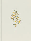 Personalize your Bible study with the CSB Hosanna Revival Journaling Bible