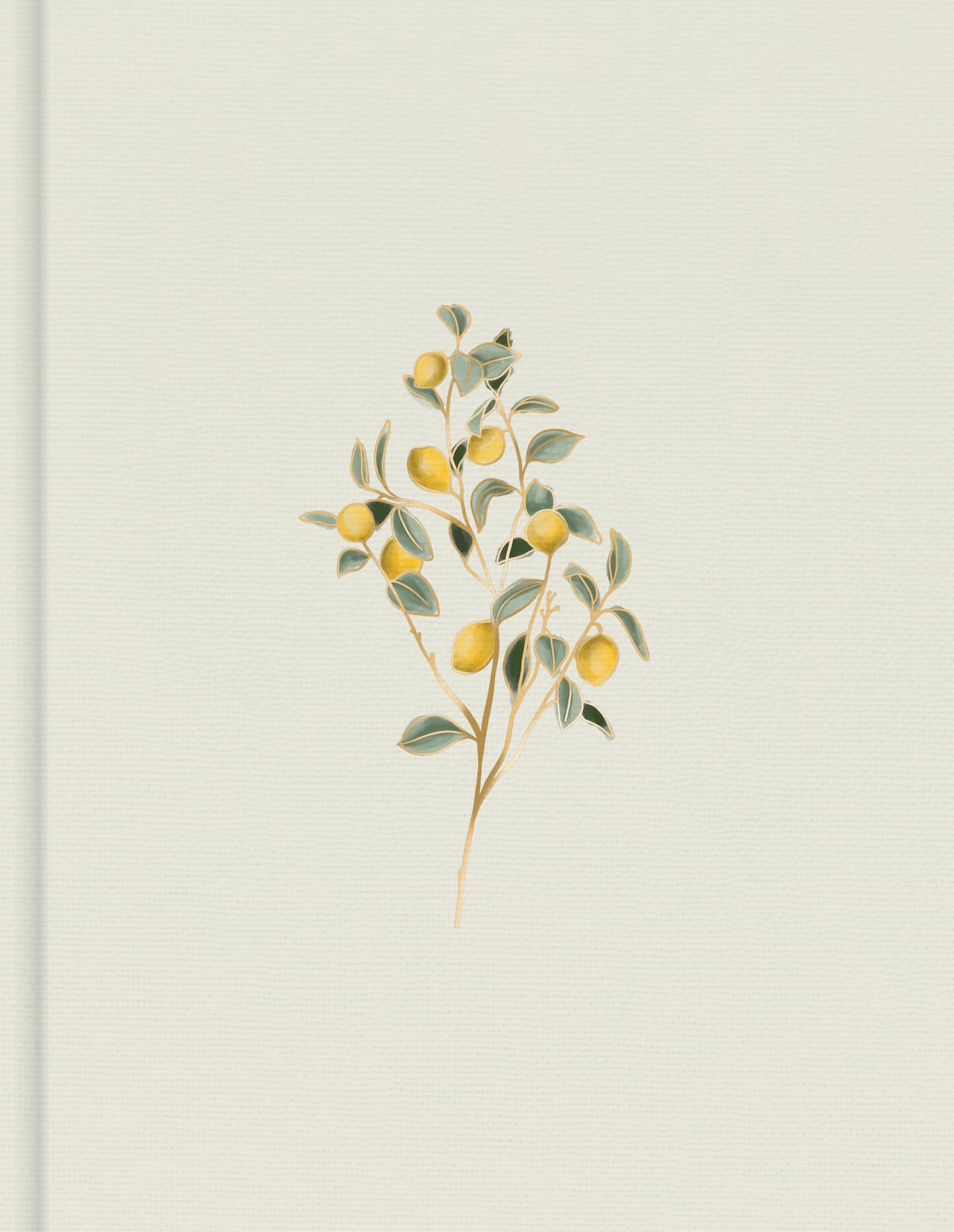 Personalize your Bible study with the CSB Hosanna Revival Journaling Bible