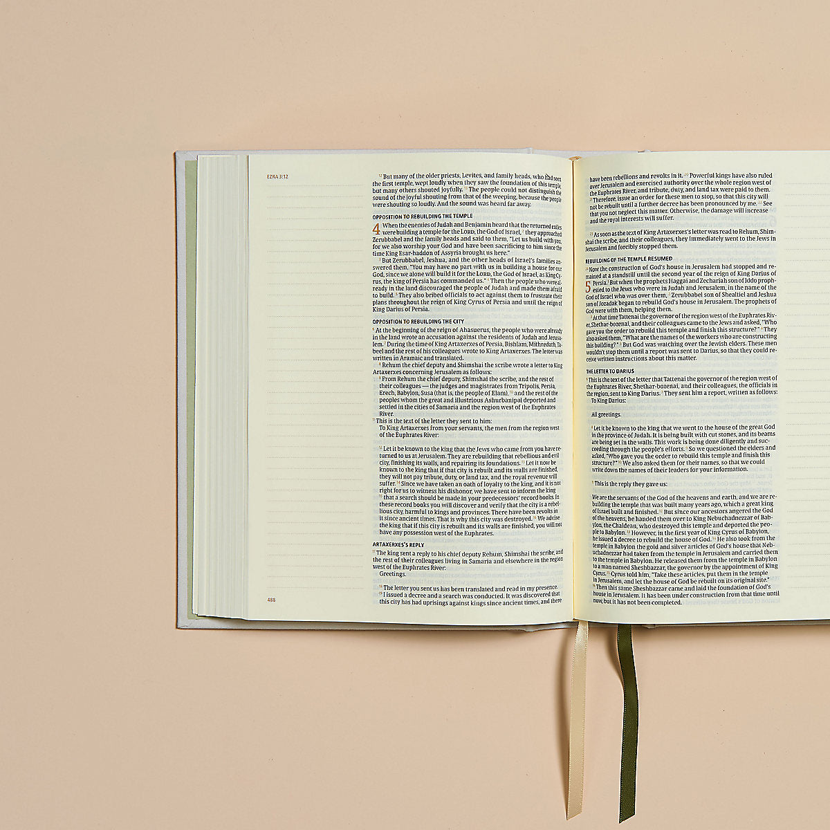 High-end CSB Notetaking Bible featuring Hosanna Revival design with lemons, perfect for luxury Christian study
