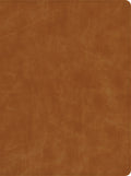 Elevate your devotion with the luxurious CSB Christian Standard Bible, Butterscotch Black Letter Edition, a premium Bible exp
