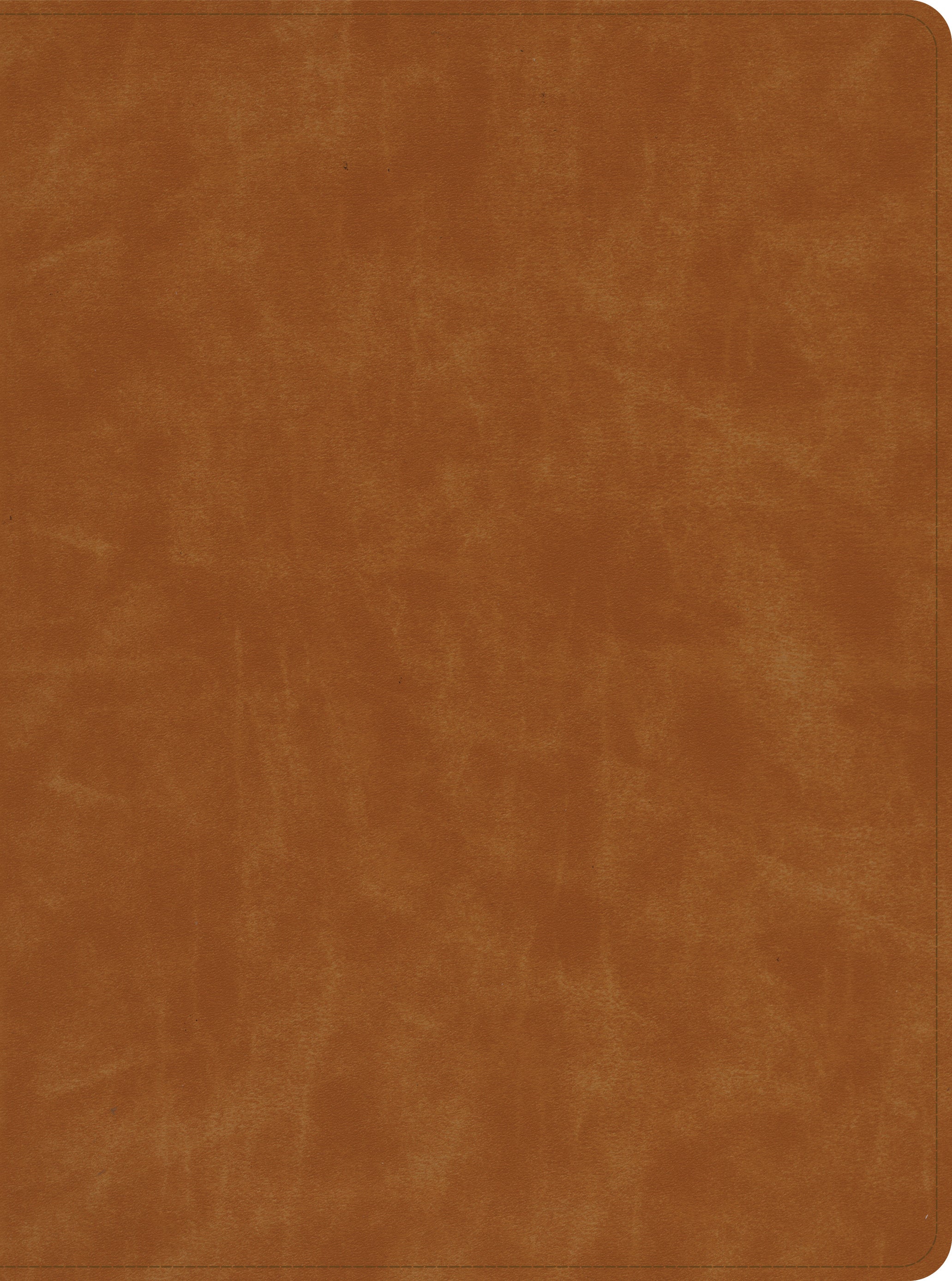 Elevate your devotion with the luxurious CSB Christian Standard Bible, Butterscotch Black Letter Edition, a premium Bible exp