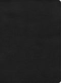 Luxury Black Letter CSB Apologetics Study Bible with Christian Standard Bible apologetics notes.