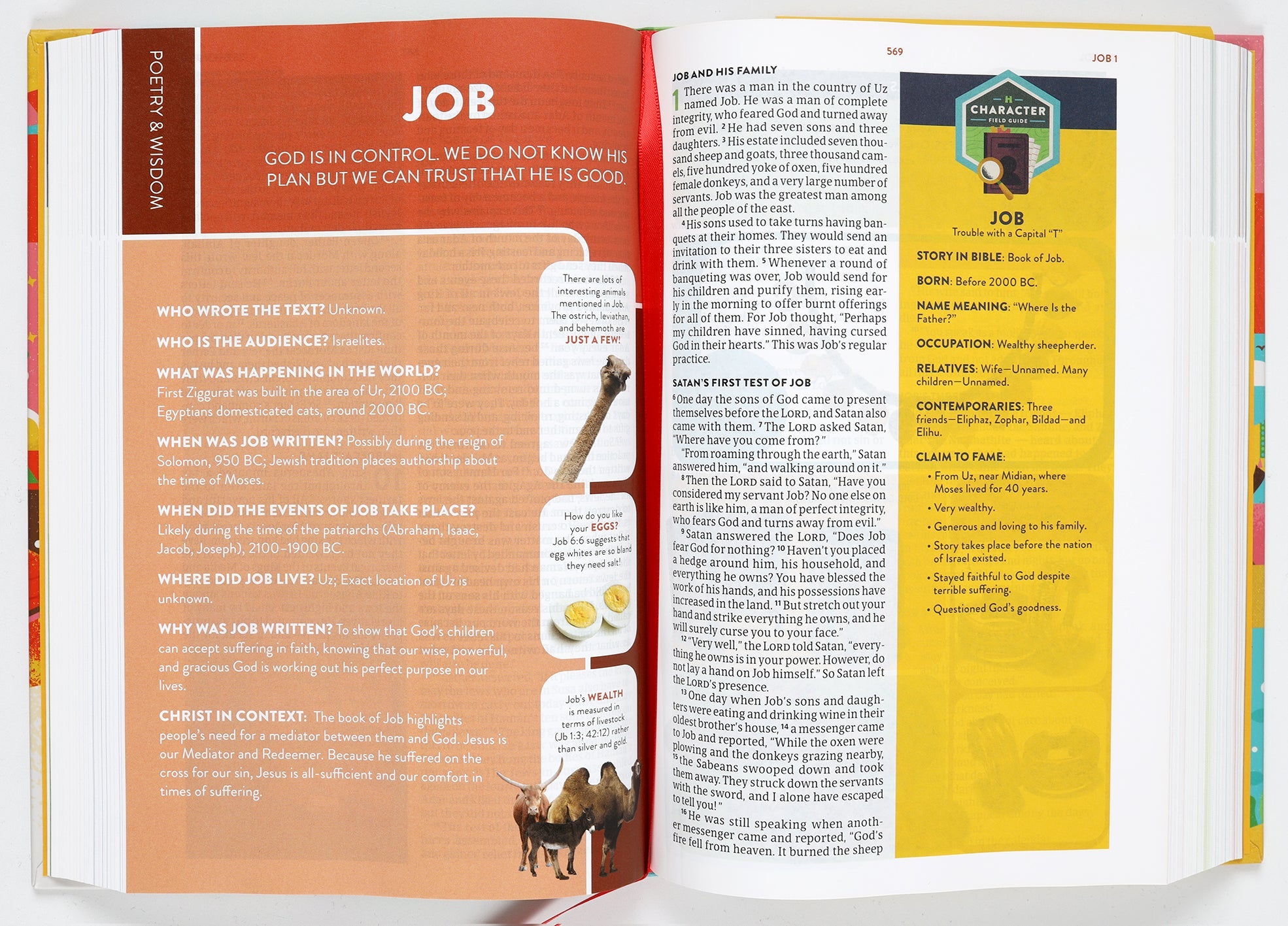 CSB Explorer Bible for Kids open to its Bible stories and activities, promoting hands-on learning.