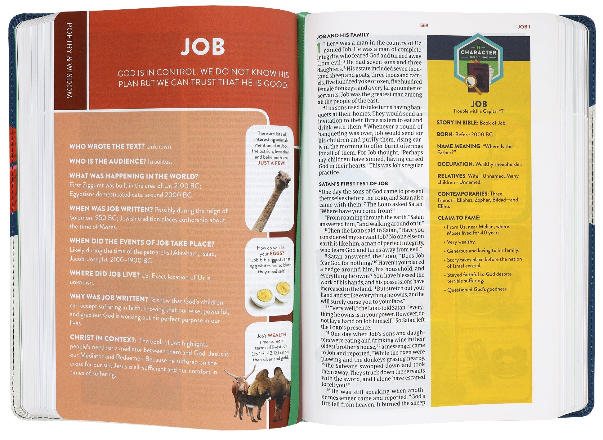 CSB Explorer Bible for Kids: Blast Off, Bible study for kids