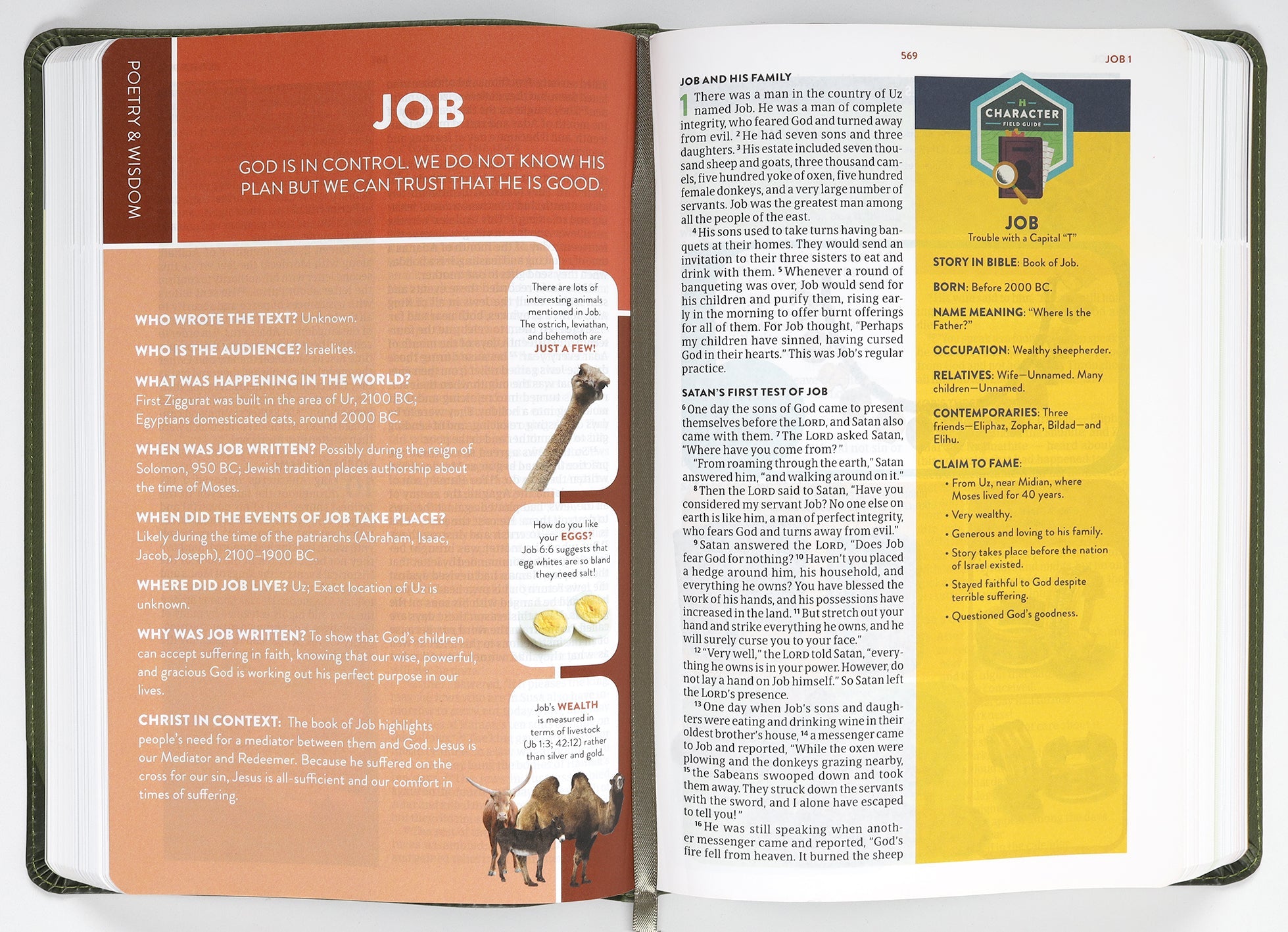 Detail of CSB Explorer Bible for Kids: The Olive Compass navigation