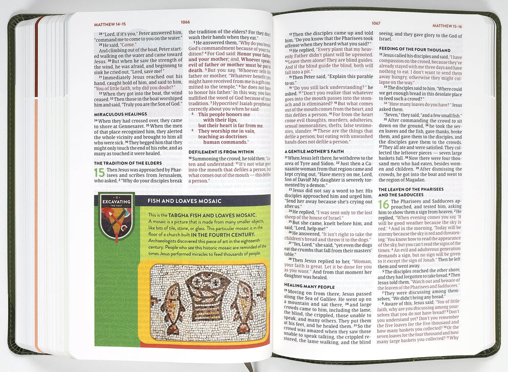 CSB Explorer Bible For Kids Olive Compass