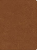 CSB He Reads Truth Bible Saddle (Black Letter Edition)