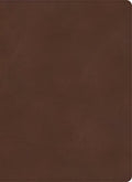 KJV Single-Column Journaling Bible in red letter edition with wide margins for notes