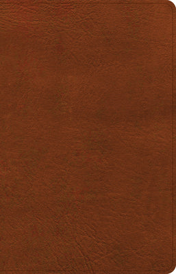 Elevate your devotion with the CSB Thinline Bible, a premium, red letter edition in rich burnt sienna