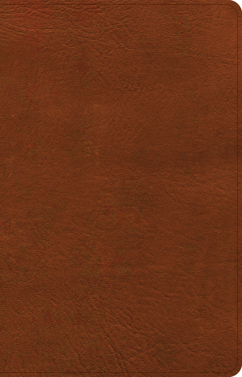 Elegant Burnt Sienna Leather CSB Thinline Reference Bible in Red Letter Edition