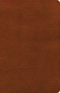 Elegant Burnt Sienna Leather CSB Thinline Reference Bible in Red Letter Edition