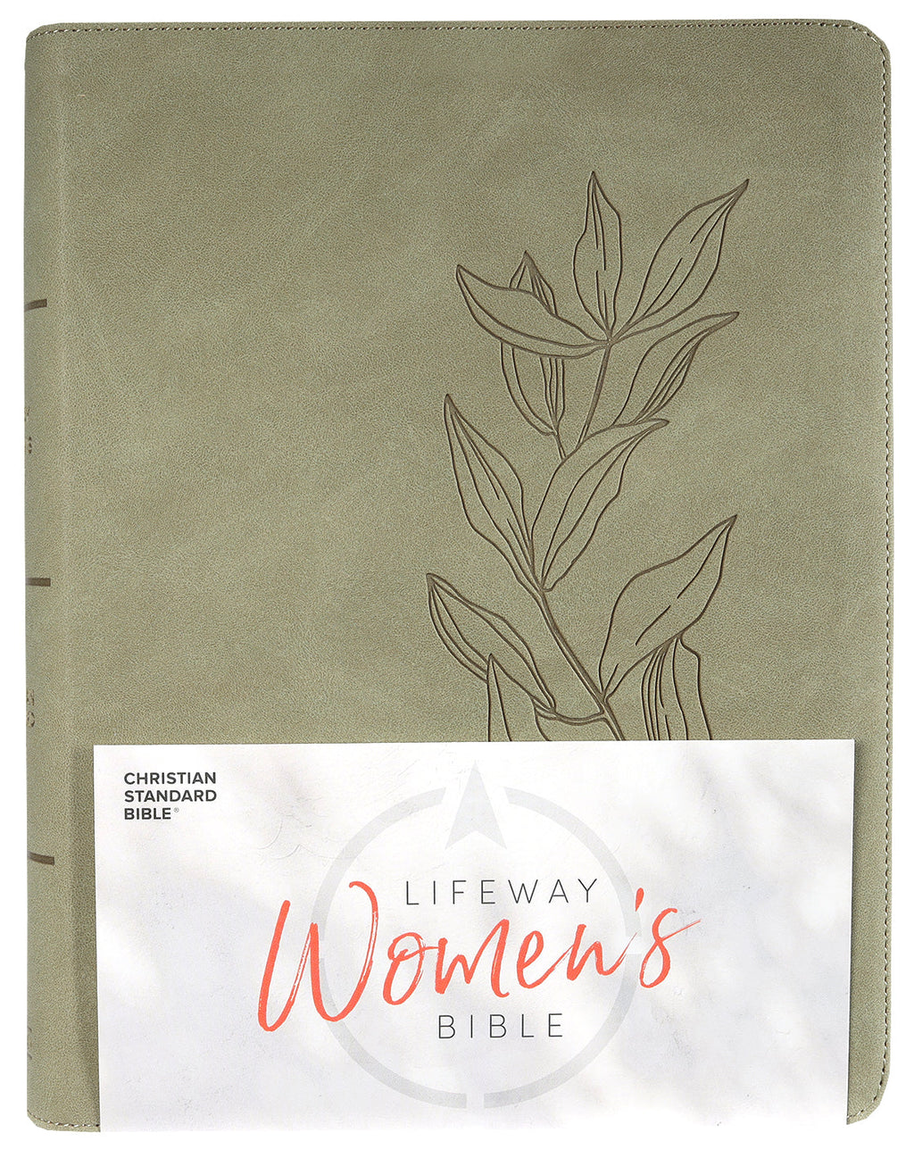 CSB Lifeway Women's Bible Sage (Black Letter Edition)