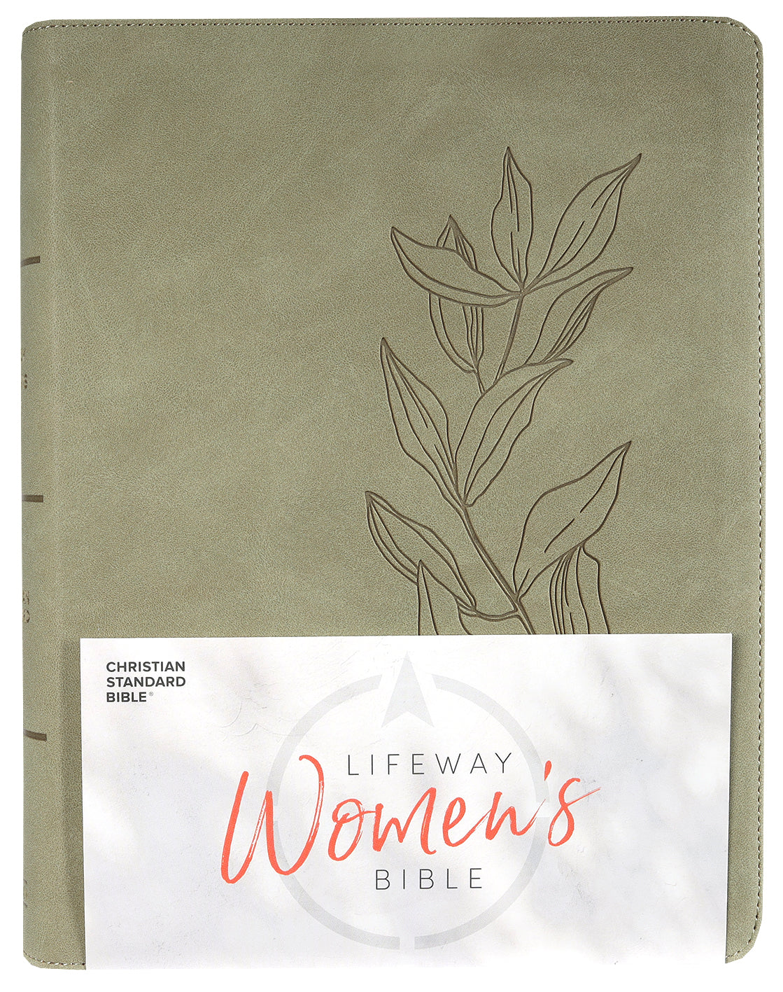 CSB Lifeway Women's Bible Sage (Black Letter Edition)