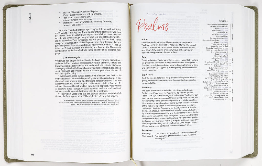 CSB Lifeway Women's Journaling Bible with Black Letter Edition
