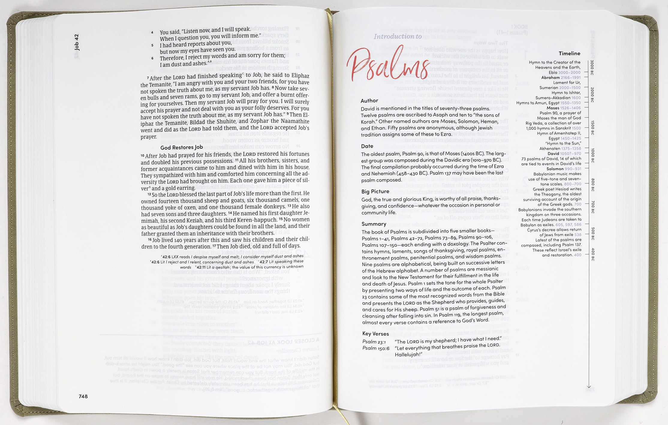 CSB Lifeway Women's Journaling Bible with Black Letter Edition