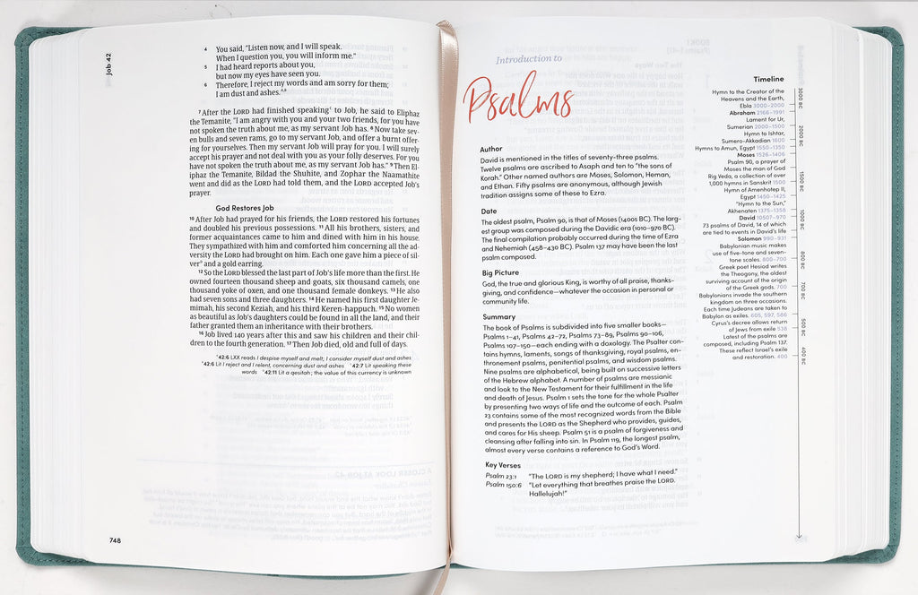 Sophisticated CSB Women's Bible showcasing Slate and Black Letter Edition details