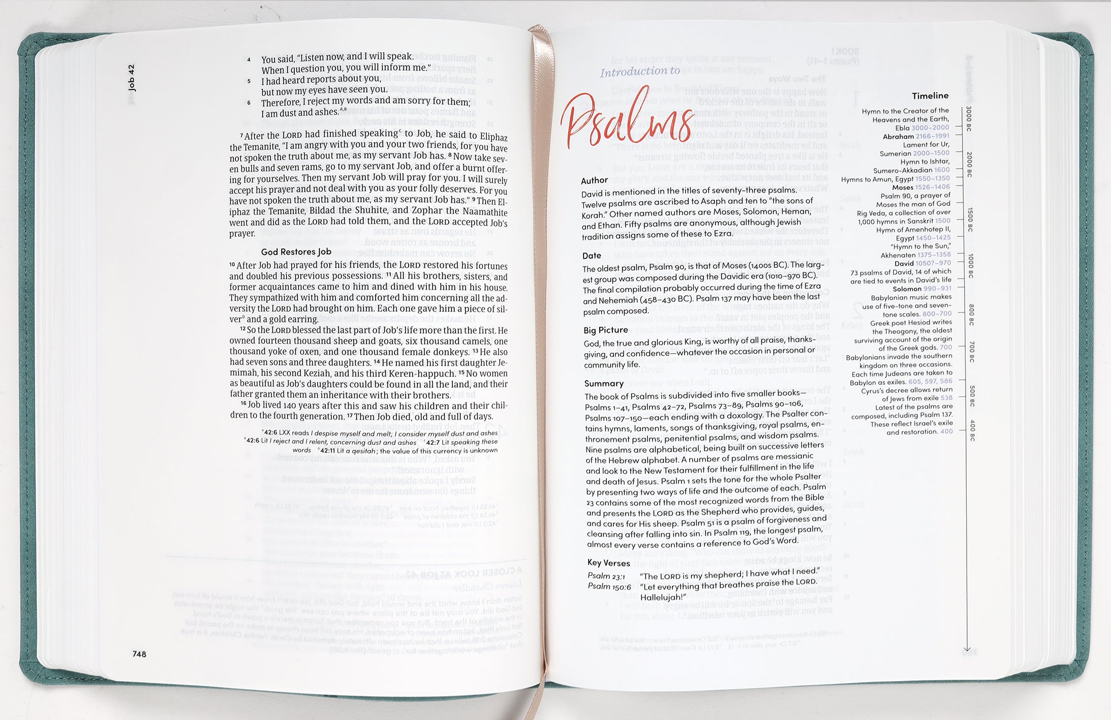 Sophisticated CSB Women's Bible showcasing Slate and Black Letter Edition details