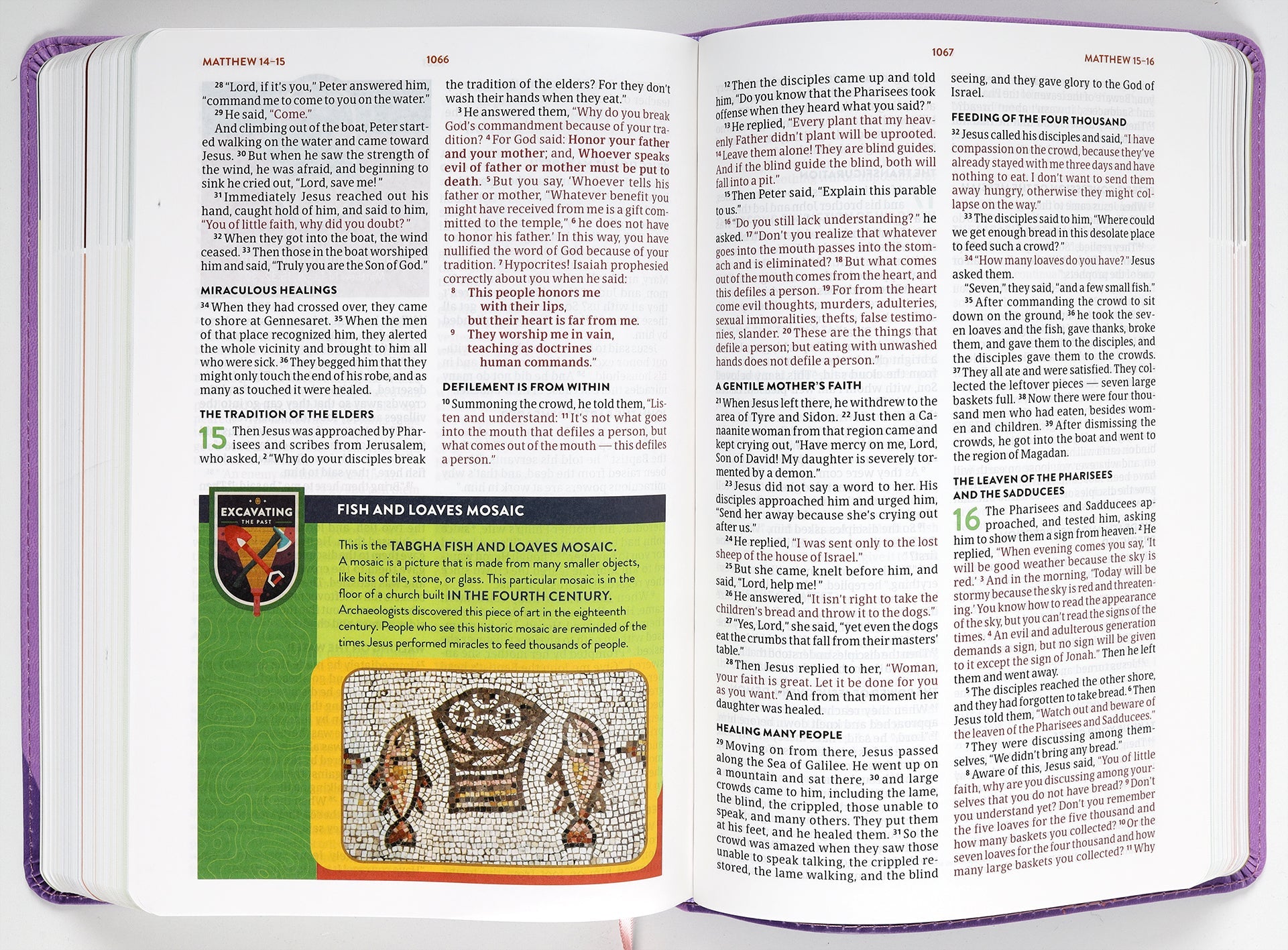 CSB Explorer Bible for Kids Lavender Compass Edition in Child's Hand