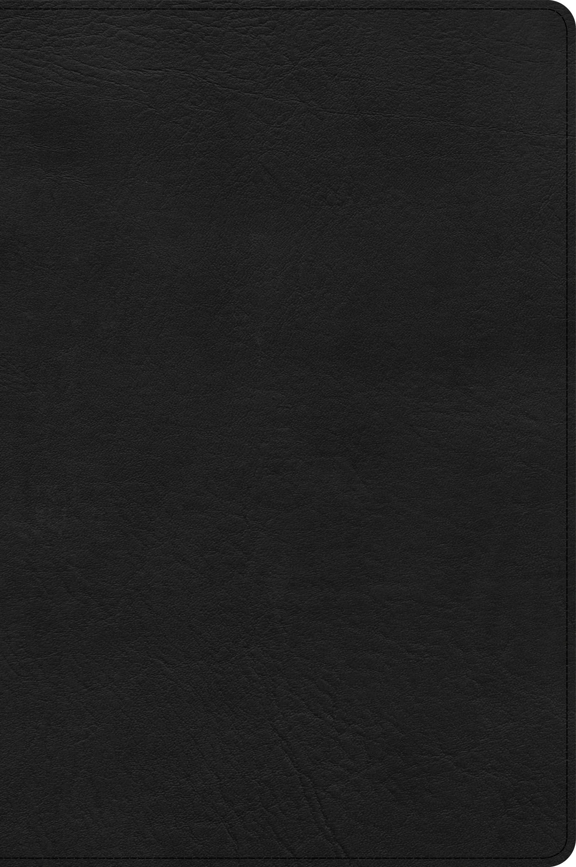 CSB Large Print Thinline Bible Black (Red Letter Edition)