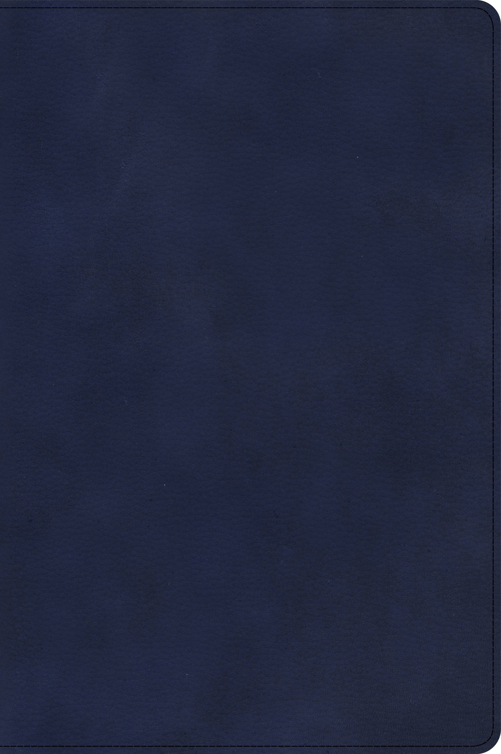 CSB Large Print Thinline Bible Navy (Red Letter Edition)