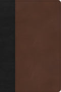 CSB Large Print Thinline Bible Black/Brown (Red Letter Edition)