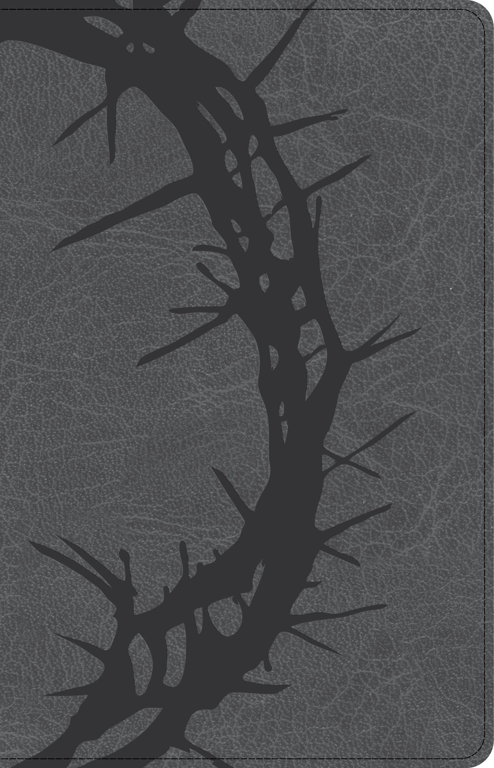 CSB Large Print Personal Size Reference Bible Charcoal Indexed (Red Letter Edition)