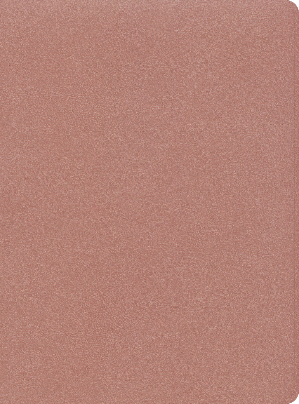 CSB Study Bible Rose Gold Indexed