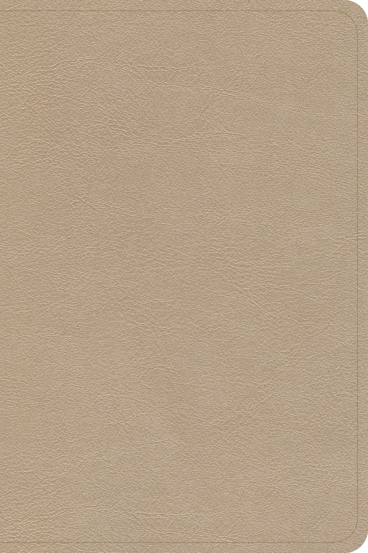 Elevate your faith with the CSB Christian Standard Bible Large Print Reference, a luxurious gold edition with red letter text