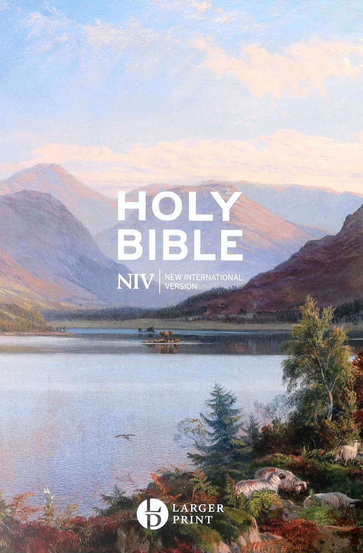 Large print NIV gift Bible in British English translation