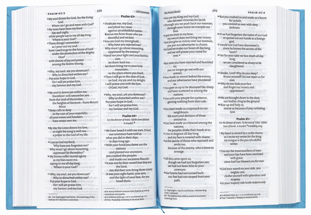 NIV Anglicised Pocket Classic Bible, Seascape Blue design