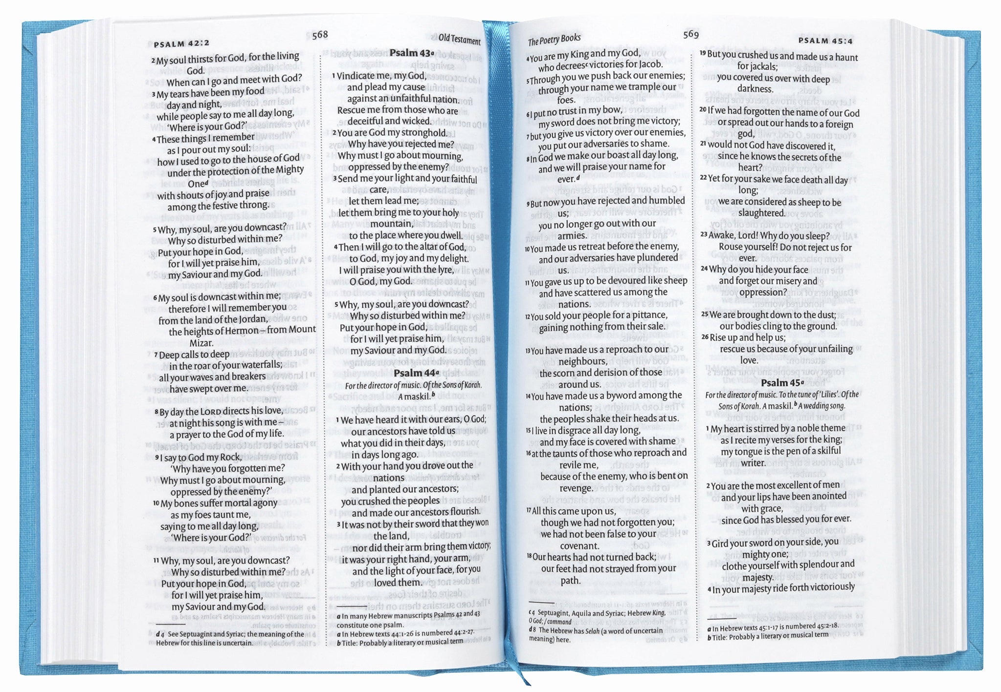 NIV Anglicised Pocket Classic Bible, Seascape Blue design